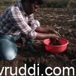 ಮಣ್ಣು ಪರೀಕ್ಷೆಗೆ ಮಾದರಿಯನ್ನು ತೆಗೆಯುವ ವಿಧಾನ