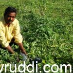 Suresh nayak on his farm
