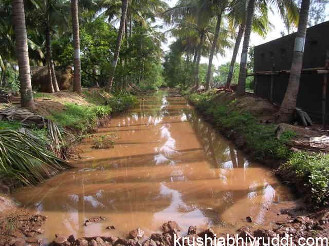 ಮೊದಲ ಮಳೆಯ ಈ ಕೆನ್ನೀರು ಅಸಾಧಾರಣ ಶಕ್ತಿ ಹೊಂದಿದೆ