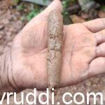ನಾವೇ ಮಣ್ಣು ಪರೀಕ್ಷಿಸುವ ವಿಧಾನ