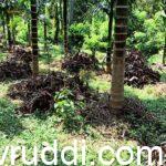 method of green leaf mulching