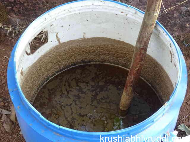 ಜೀವಾಮೃತ ಸಾರ