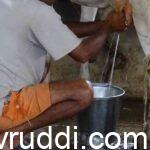 ಹಾಲು ಕರೆಯುವುದು