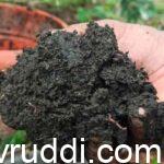 ಮಣ್ಣು ಪರೀಕ್ಷೆ ಬೇಕಾಗಿಲ್ಲದ ಮಣ್ಣು ಇದು