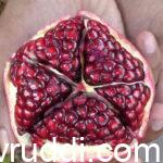 pomegranate