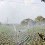 sprinkler installation