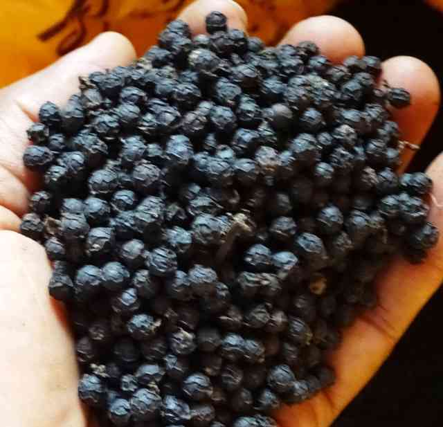 ಅತ್ಯುತ್ತಮ ಕರಿಮೆಣಸು