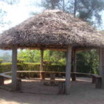 Organic University