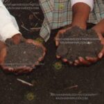 ಮಣ್ಣಿನ ಆರೋಗ್ಯ ತಿಳಿಯಲು ಅದರ ಪರೀಕ್ಷೆ