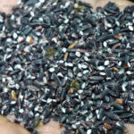 Black rice
