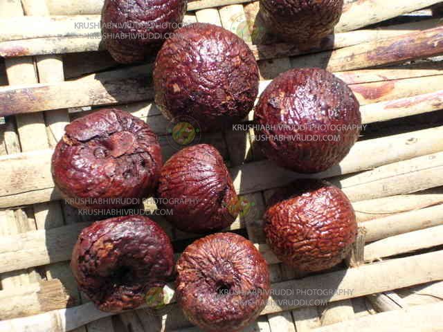 ರಾಶಿ ಅಡಿಕೆ.