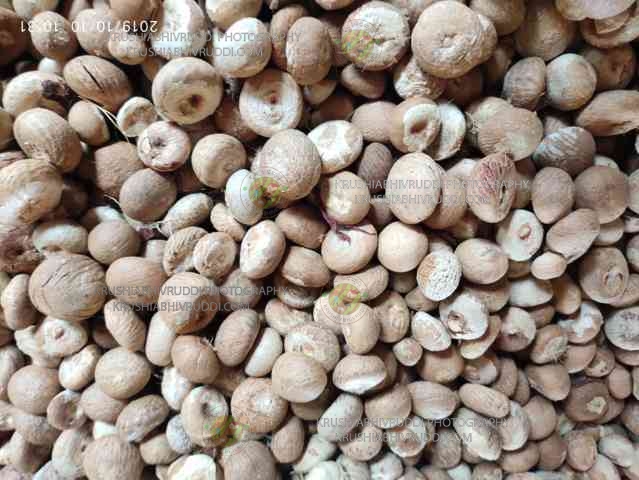 ಚಾಲಿ ಅಡಿಕೆ