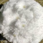 ಸಲ್ಫೇಟ್ ಆಫ್ ಪೊಟ್ಯಾಶ್ SOP