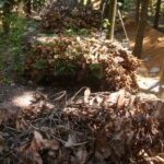 Dry leaf waste mulching