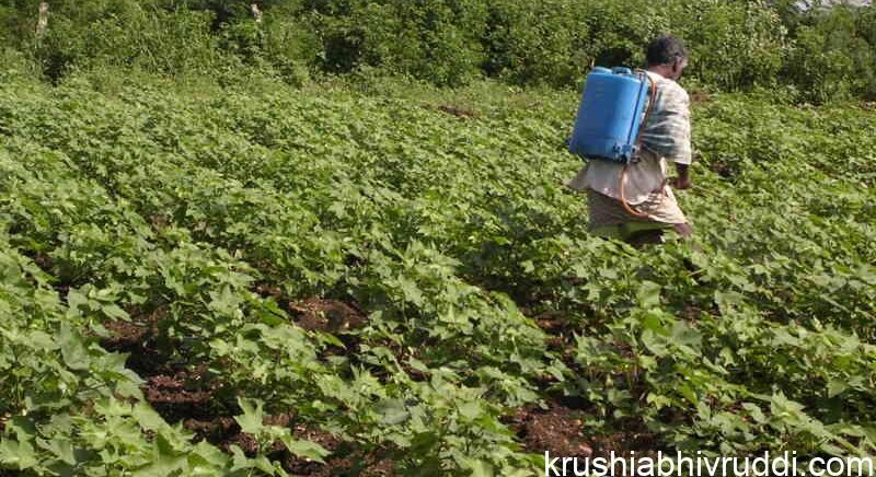 weedicide spray