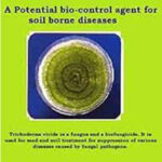Trichoderma Packet