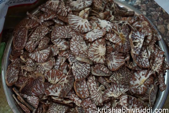 ಚೂರು ಮಾಡಿದ ಅಡಿಕೆ