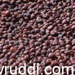 ಕೆಂಪು ಅಡಿಕೆ