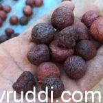 ಕೆಂಫು ಅಡಿಕೆ 11