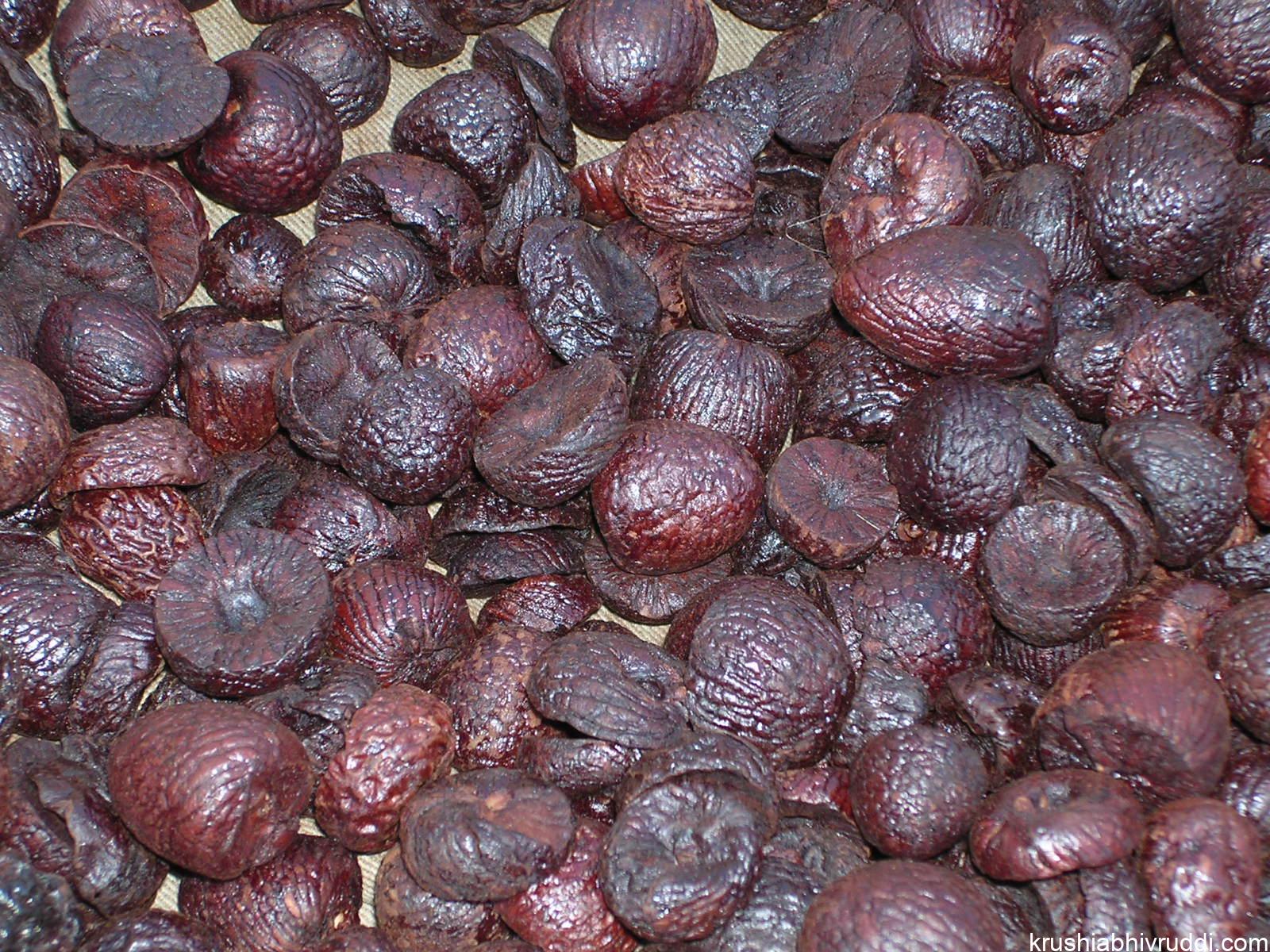 ಬೇಯಿಸಿದ ಬೆಟ್ಟೆ ಅಡಿಕೆ