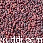 ಉತ್ತಮ ರಾಶಿ ಅಡಿಕೆ