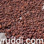 ಕೆಂಪು ರಾಸಿ ಅಯದೆ ಇದ್ದದ್ದು