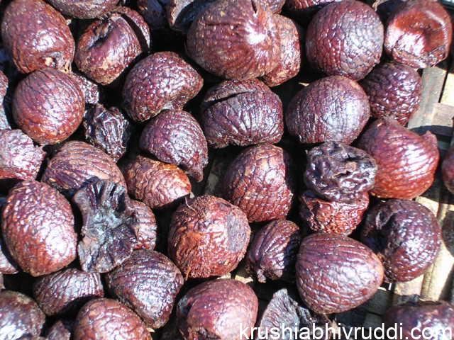 ಚೇತರಿಕೆಯತ್ತ ಕೆಂಪಡಿಕೆ