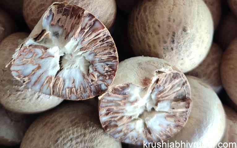 ಅಡಿಕೆ -ದರ ಎರಿಕೆ