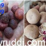 ಅಡಿಕೆ ಮಾರುಕಟ್ಟೆಗೆ ಹೊಸ ಹುರುಪು- ಕೆಂಪು 52,000 ಚಾಲಿ 48,500