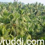 ನವೆಂಬರ್ 19-20-21-22-23 ದಿನಗಳಲ್ಲಿ ವಿಶೇಷ ಕಿಸಾನ್ ಮೇಳ.
