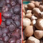 ಸಧ್ಯವೇ ಅಡಿಕೆ ಮಾರುಕಟ್ಟೆ ಕುಸಿತ ಸಾಧ್ಯತೆ.