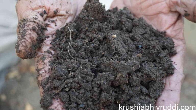 Keep Your Soil Healthy Without Lime – The Natural Way to Maintain Neutral Soil