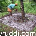 Application of Calcium — For pH or Plant Nutrition? Know the Difference