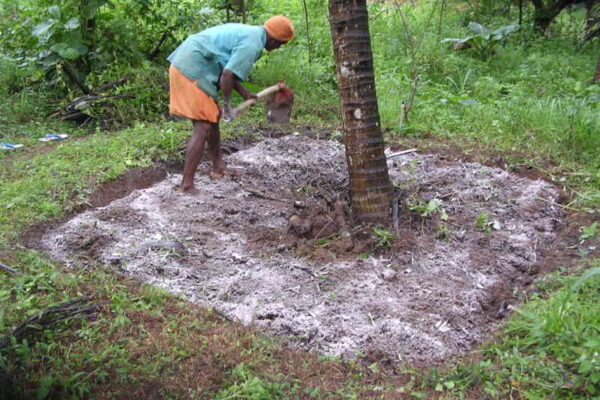 Application of Calcium — For pH or Plant Nutrition? Know the Difference