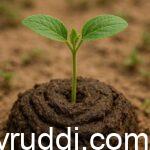 Basel Dose Manure : The Foundation of Healthy Crops