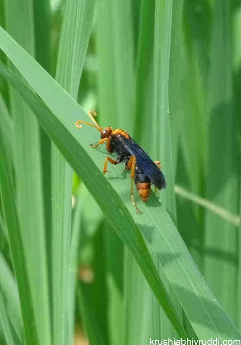 ನಾವು ನಿಮ್ಮ ಸ್ನೇಹಿತರು, ನಮ್ಮನ್ನು ಕೊಲ್ಲಬೇಡಿ!