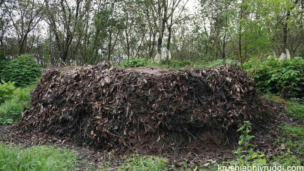 Bulk organic manure