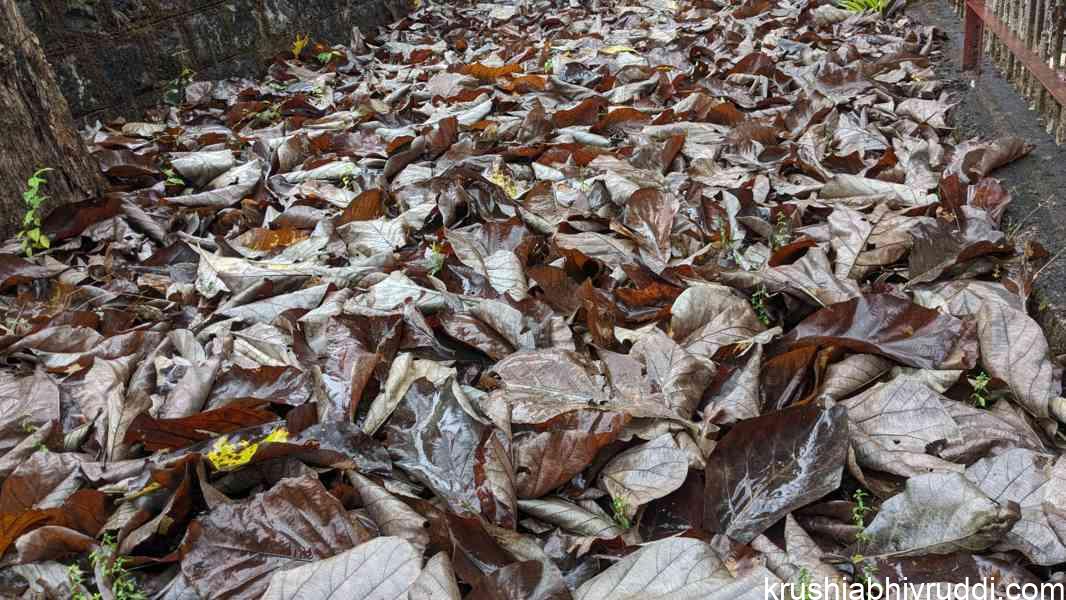 Organic matter like leaf and other wastes enrich the soil structure