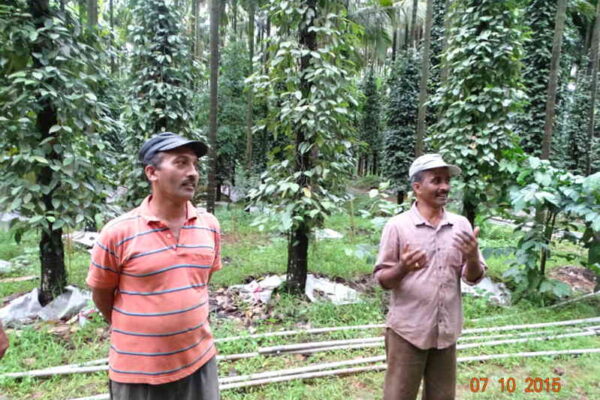 ನಾನು ಕೃಷಿಕ ನನ್ನ ಆದಾಯ ಎಷ್ಟು ಗೊತ್ತೇ
