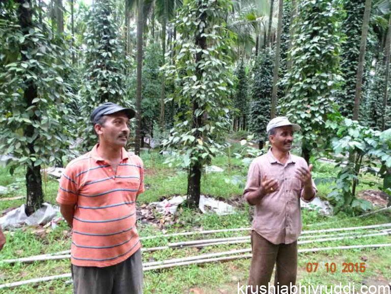 ನಾನು ಕೃಷಿಕ ನನ್ನ ಆದಾಯ ಎಷ್ಟು ಗೊತ್ತೇ