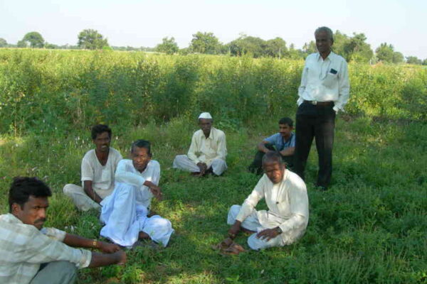 The Silent Enemies in Indian agriculture