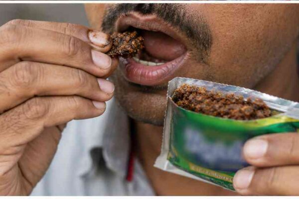 ಗುಟ್ಕಾ ನಿಷೇಧ