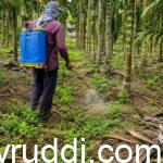 weed control spray