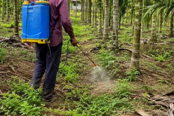 weed control spray