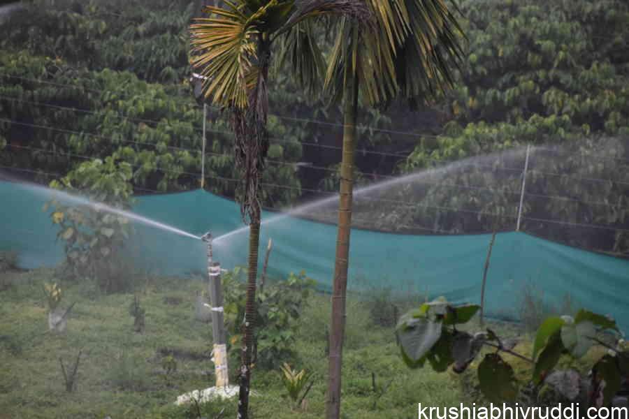 Avoid this type of Sprinkler irrigation