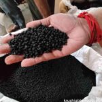 Black Pepper: Is It Naturally Black