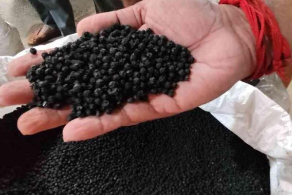 Black Pepper: Is It Naturally Black