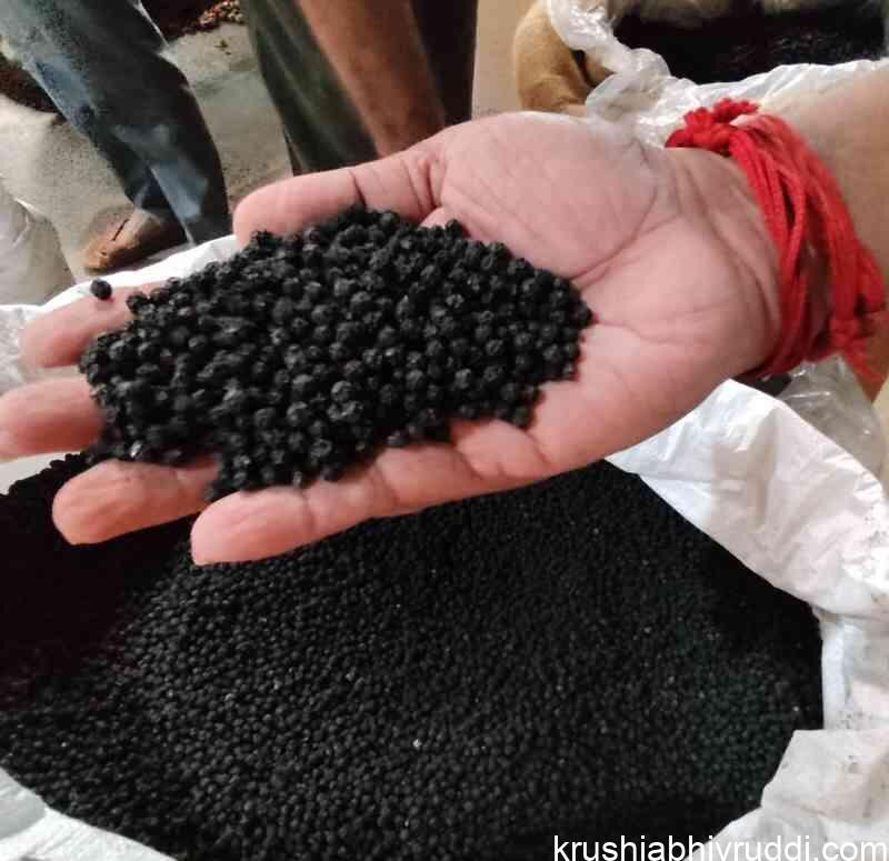 Black Pepper: Is It Naturally Black