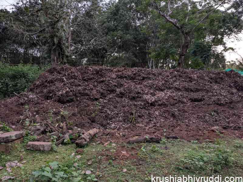 Big compost pit  