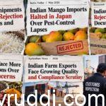 Who Is the Real Culprit — Farmer or System?